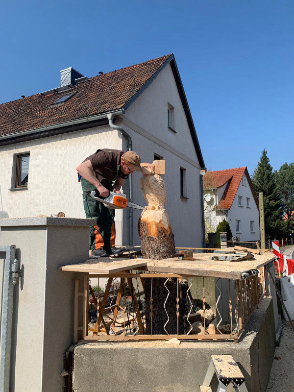 Entstehung einer Skulptur Kettensäge Eule - Holzarbeiten Blochwitz Neuseußlitz