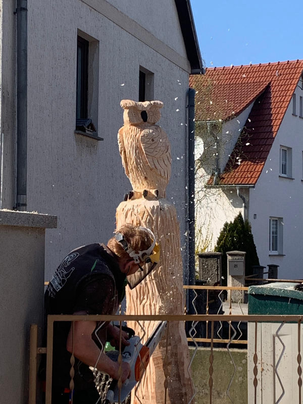 Entstehung einer Skulptur Kettensäge Eule - Holzarbeiten Blochwitz Neuseußlitz